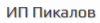 Принт-экспресс (ИП Пикалов М.Н.) логотип