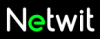 "Netwit", интернет-магазин  логотип